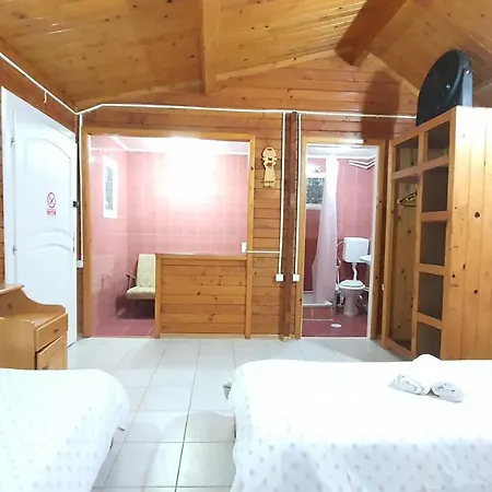 Labirint Chateau Vama Veche